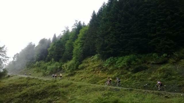 Le Gite Des Mousquetaires Lanne-en-Baretous Dış mekan fotoğraf