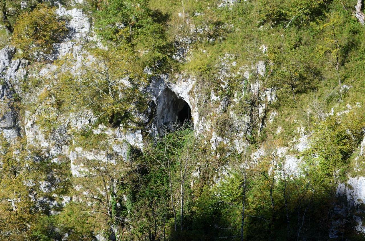 Le Gite Des Mousquetaires Lanne-en-Baretous Dış mekan fotoğraf