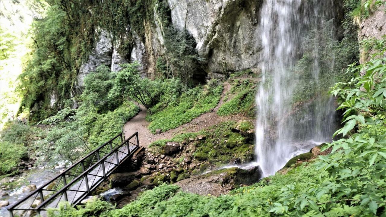 Le Gite Des Mousquetaires Lanne-en-Baretous Dış mekan fotoğraf