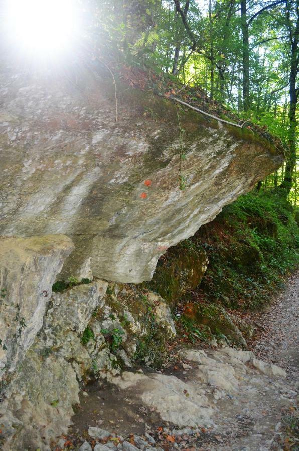 Le Gite Des Mousquetaires Lanne-en-Baretous Dış mekan fotoğraf